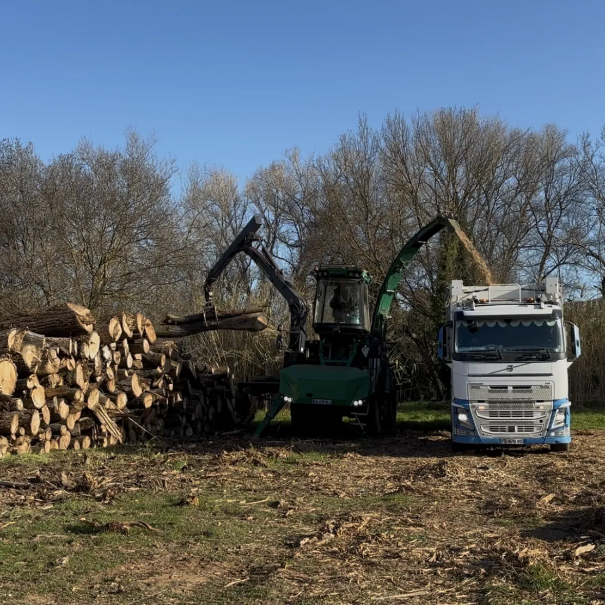 transformation du bois en copeaux et paillage